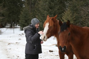 Equine assisted learning (EAL)